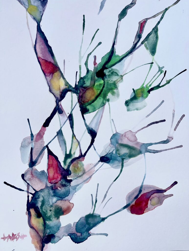 FIORI E FORME 28 x 36 carta